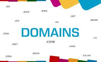 domains services